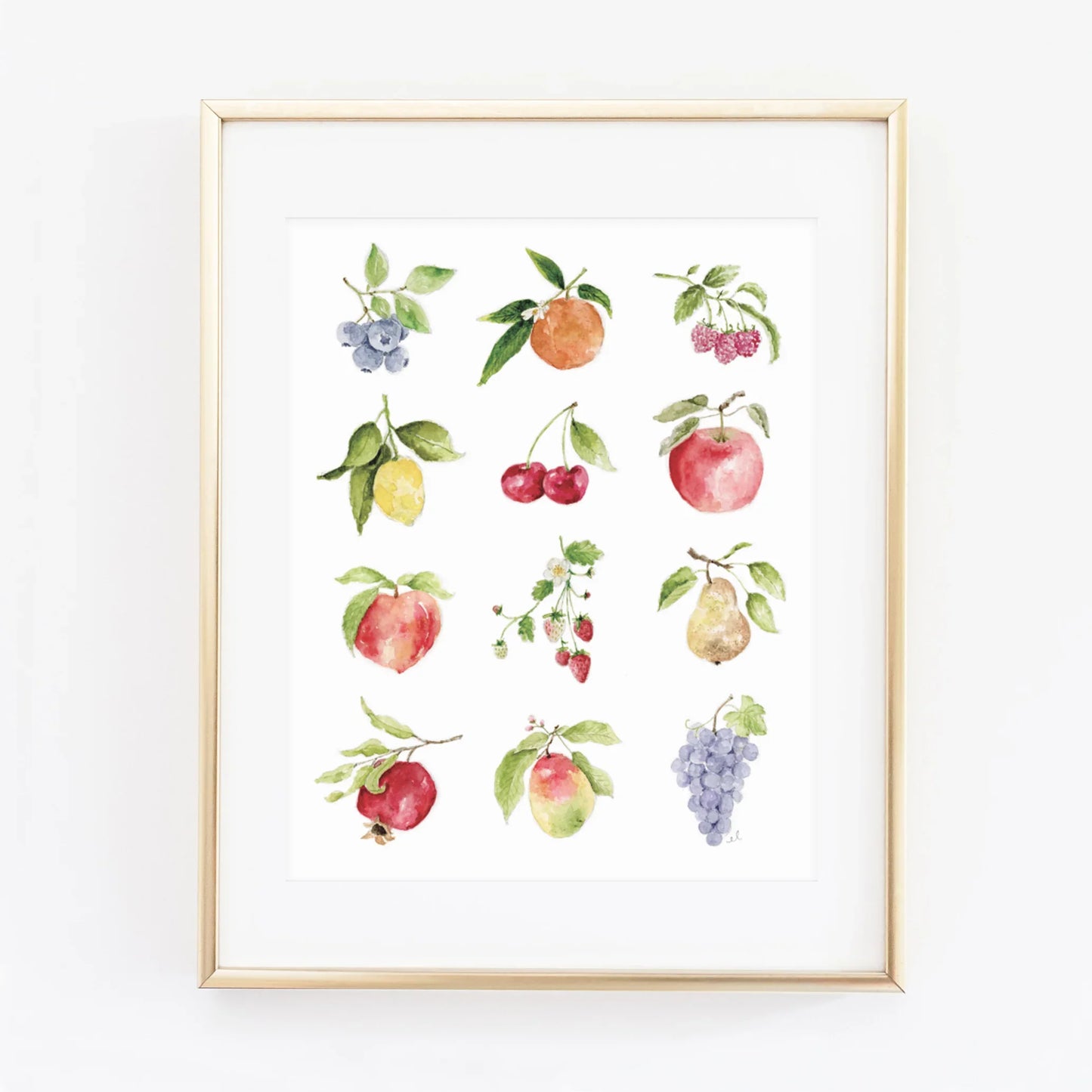 fruit collection watercolor wall art print