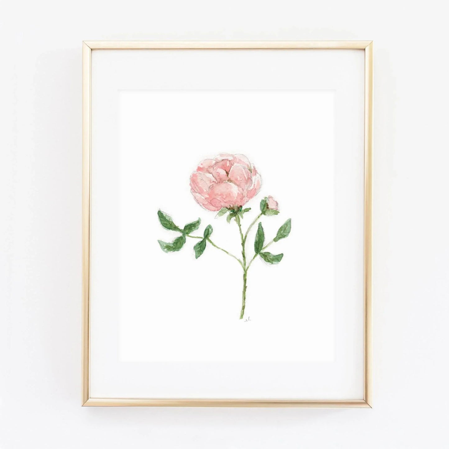 garden rose art print - emily lex studio