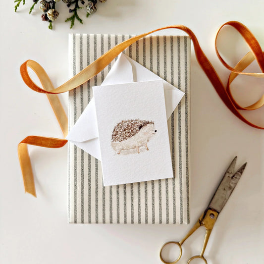 hedgehog mini enclosure notecard