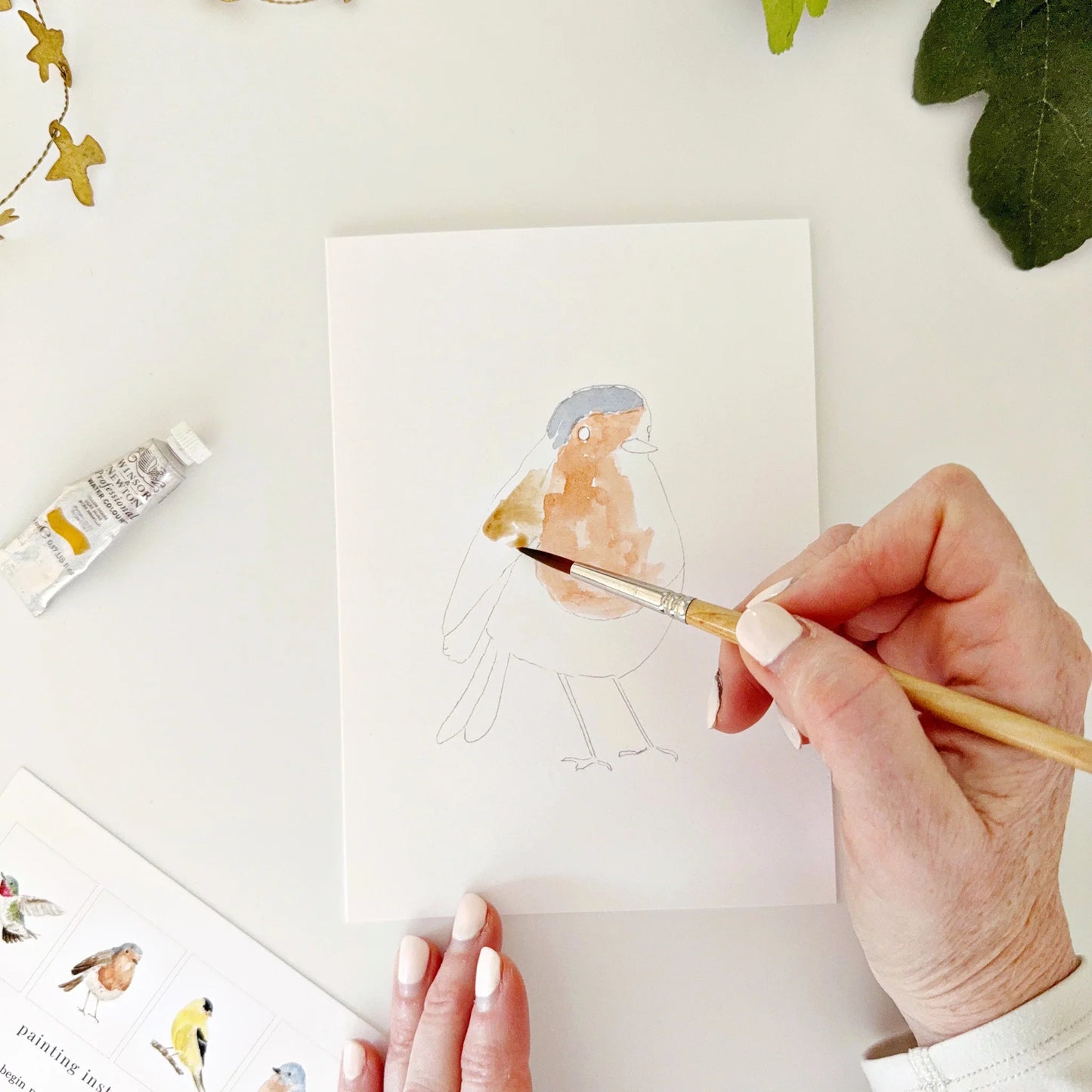 backyard birds paintable watercolor notecards