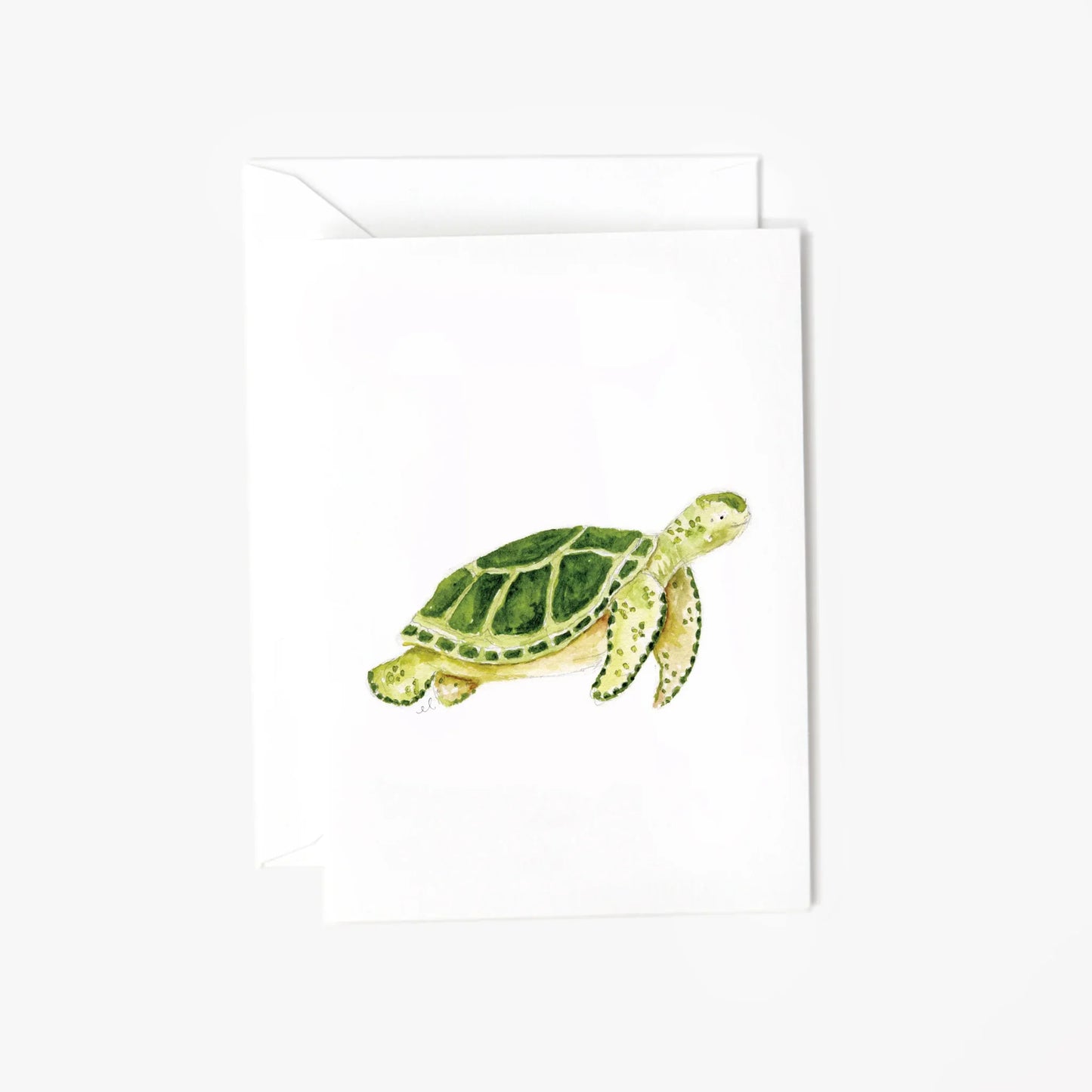 sea turtle mini enclosure notecard