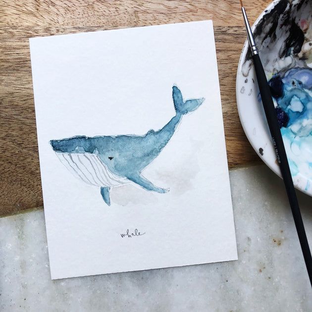 it's not about the whale - emily lex studio