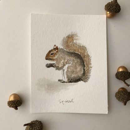 squirrel art print - emily lex studio - art print