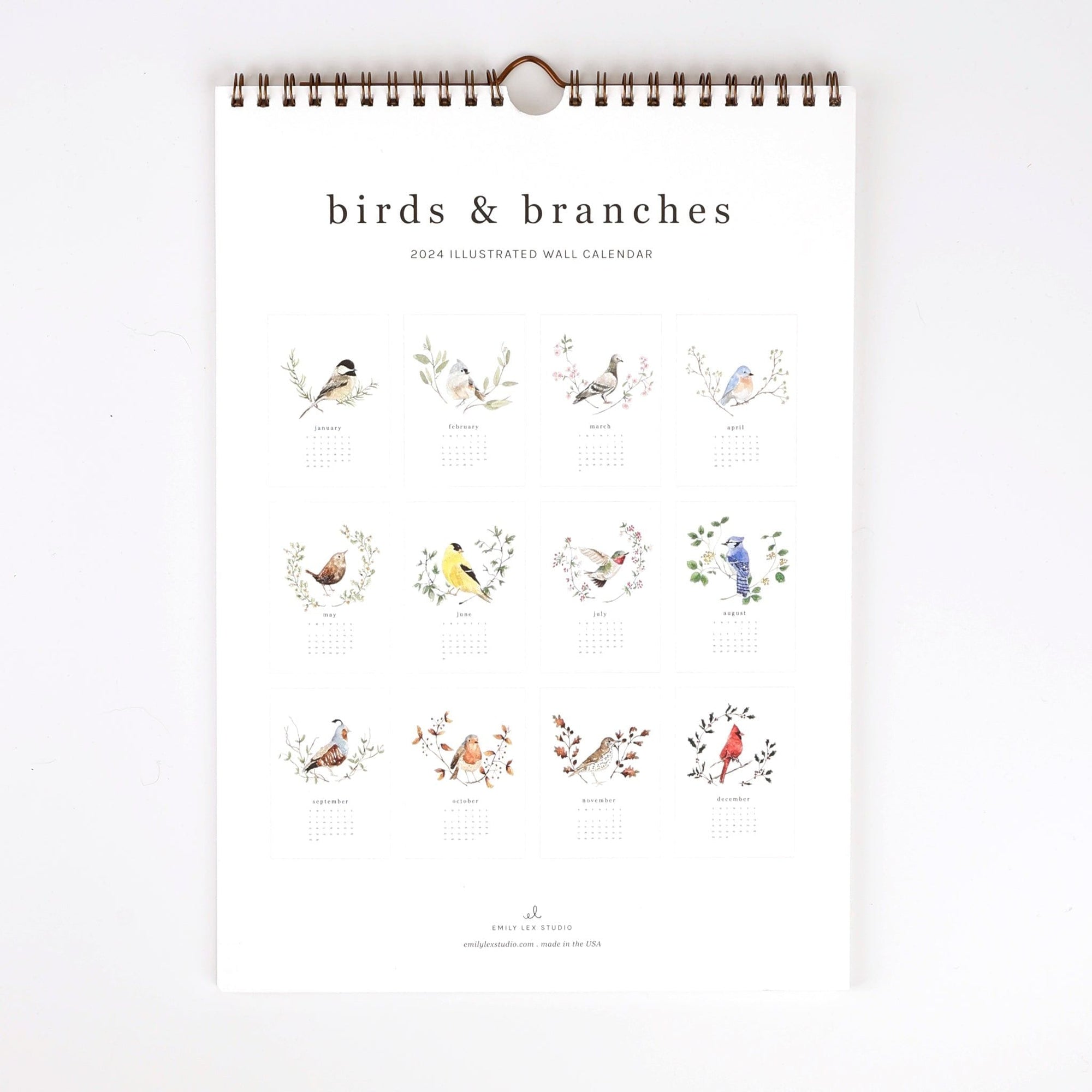 2024 birds & branches wall calendar - emily lex studio