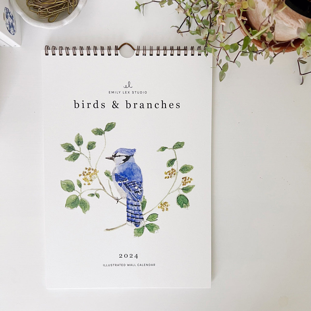 2024 birds &amp; branches wall calendar - emily lex studio