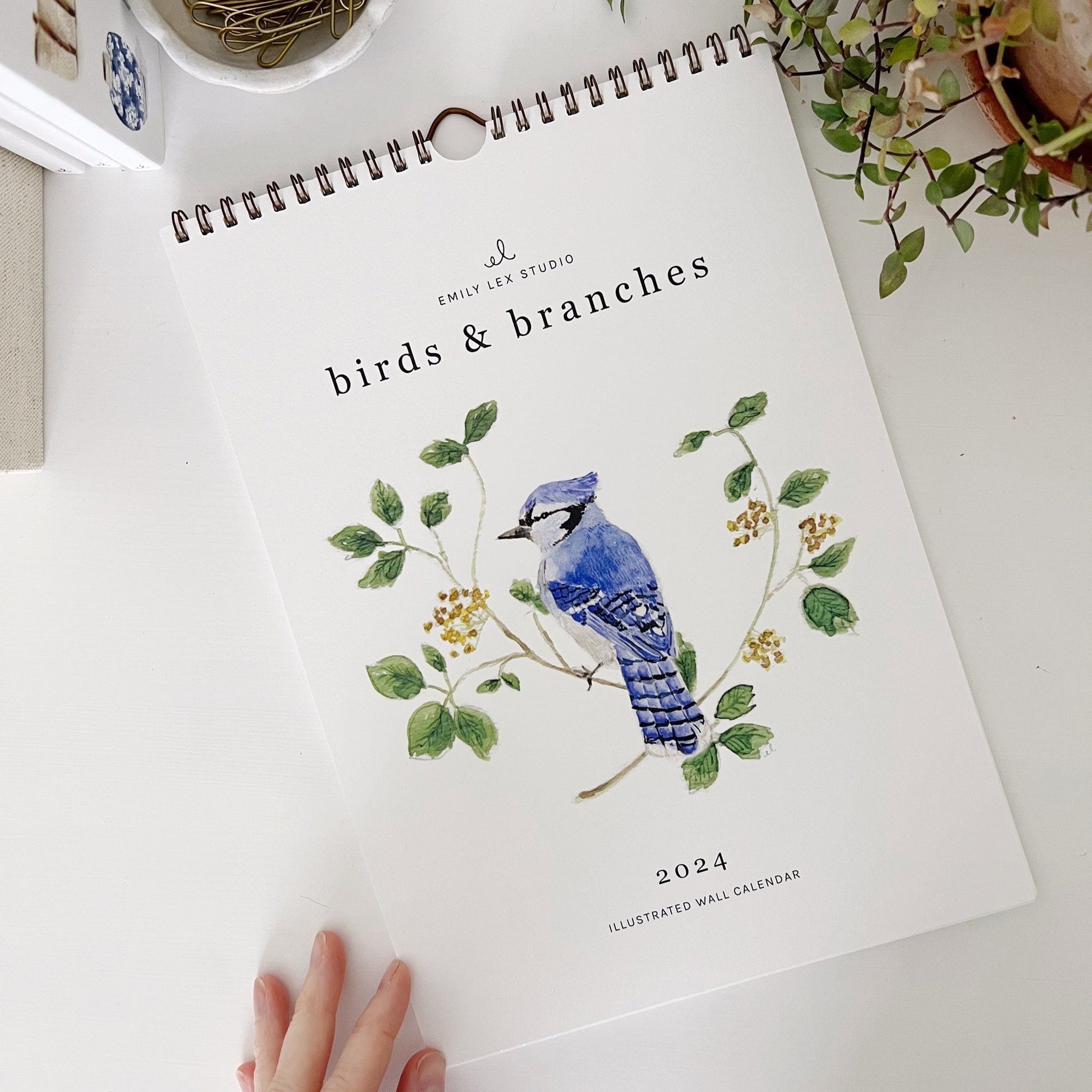 2024 birds & branches wall calendar - emily lex studio