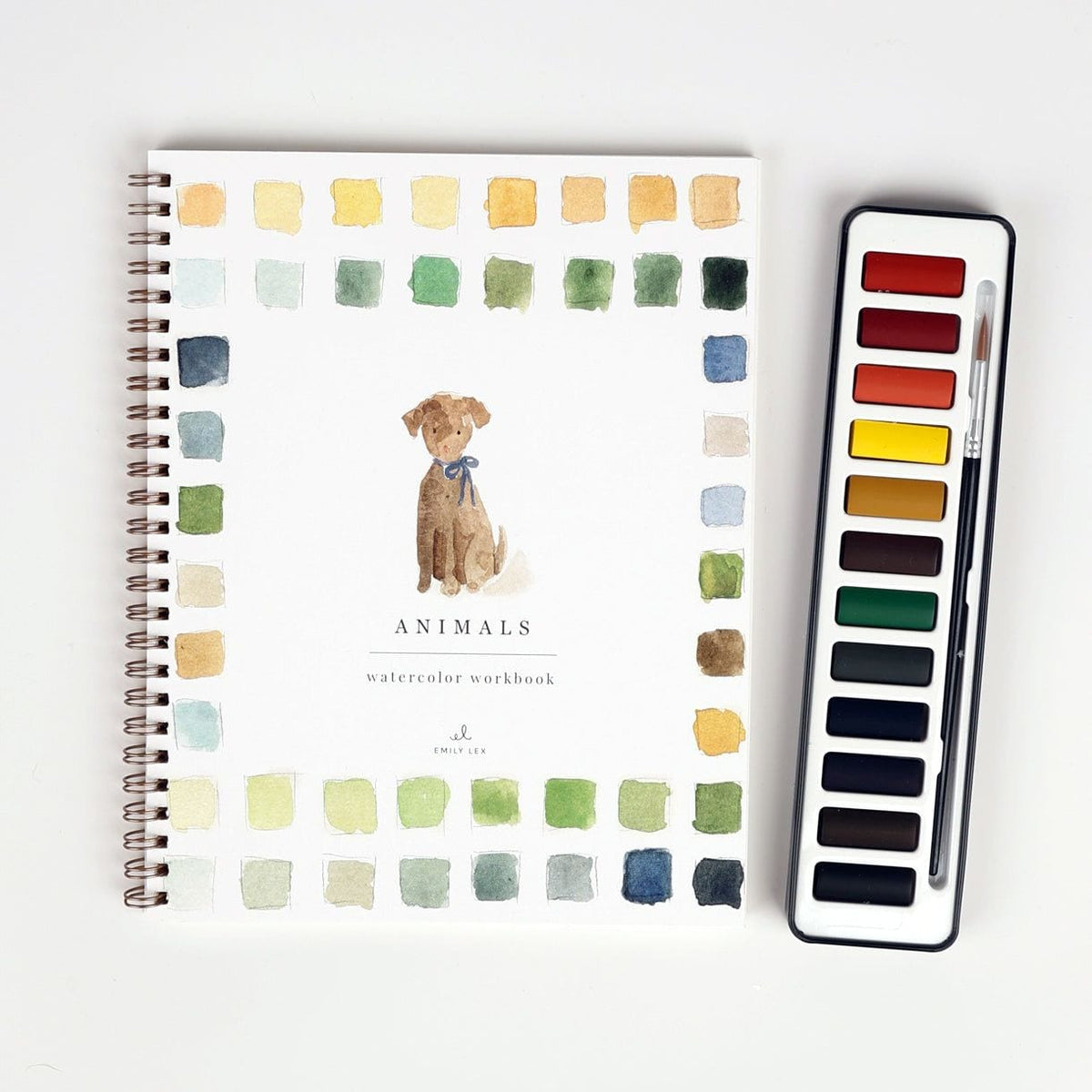 Animals Watercolor Workbook – Timberbloom