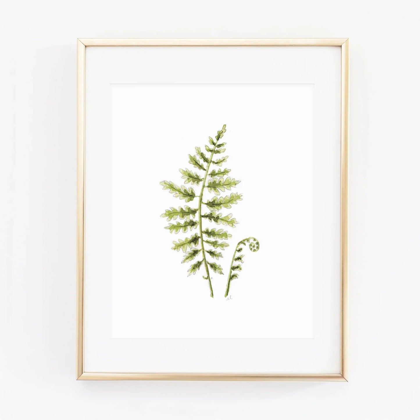 fern woodland wall art print