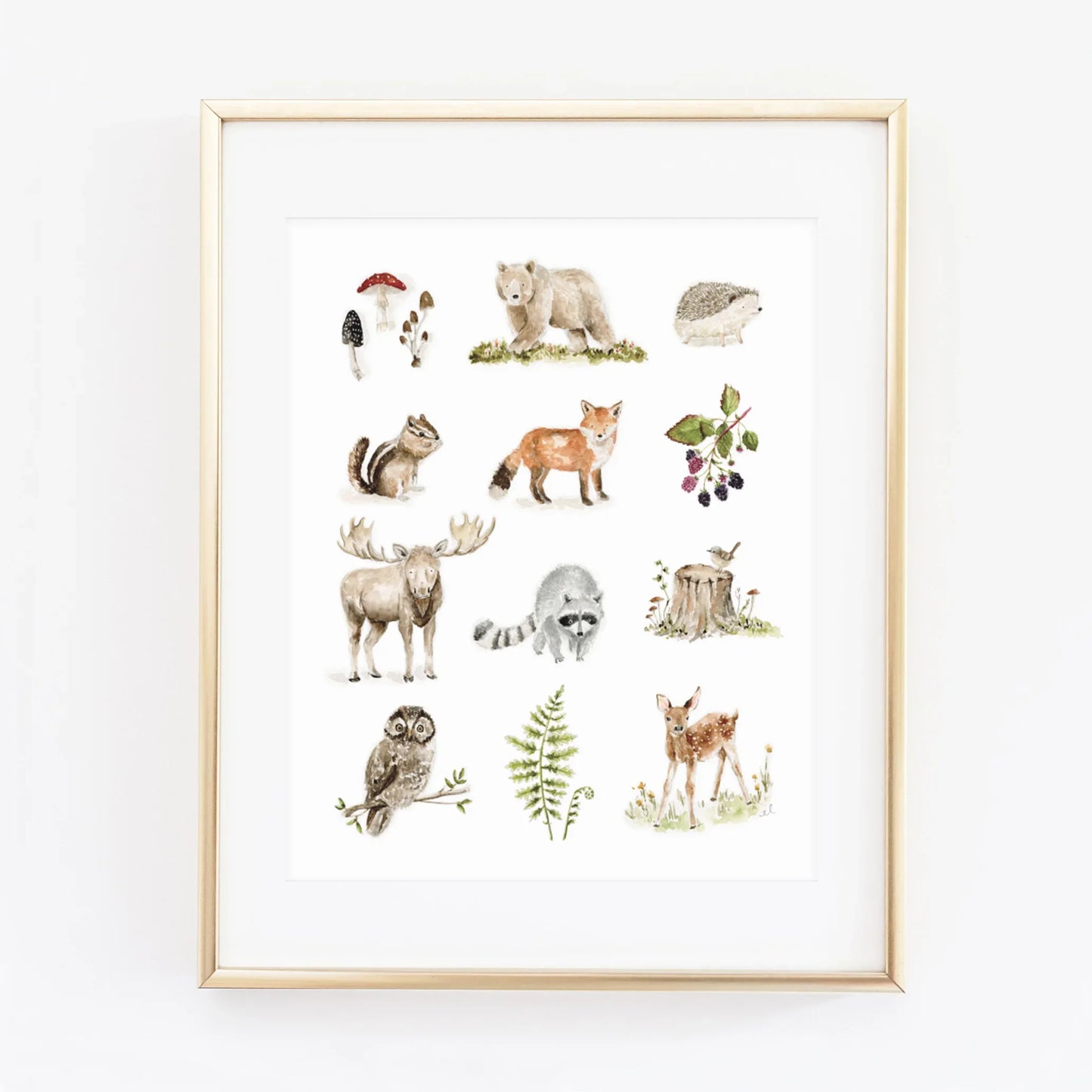 woodland watercolor forest animal wall art print