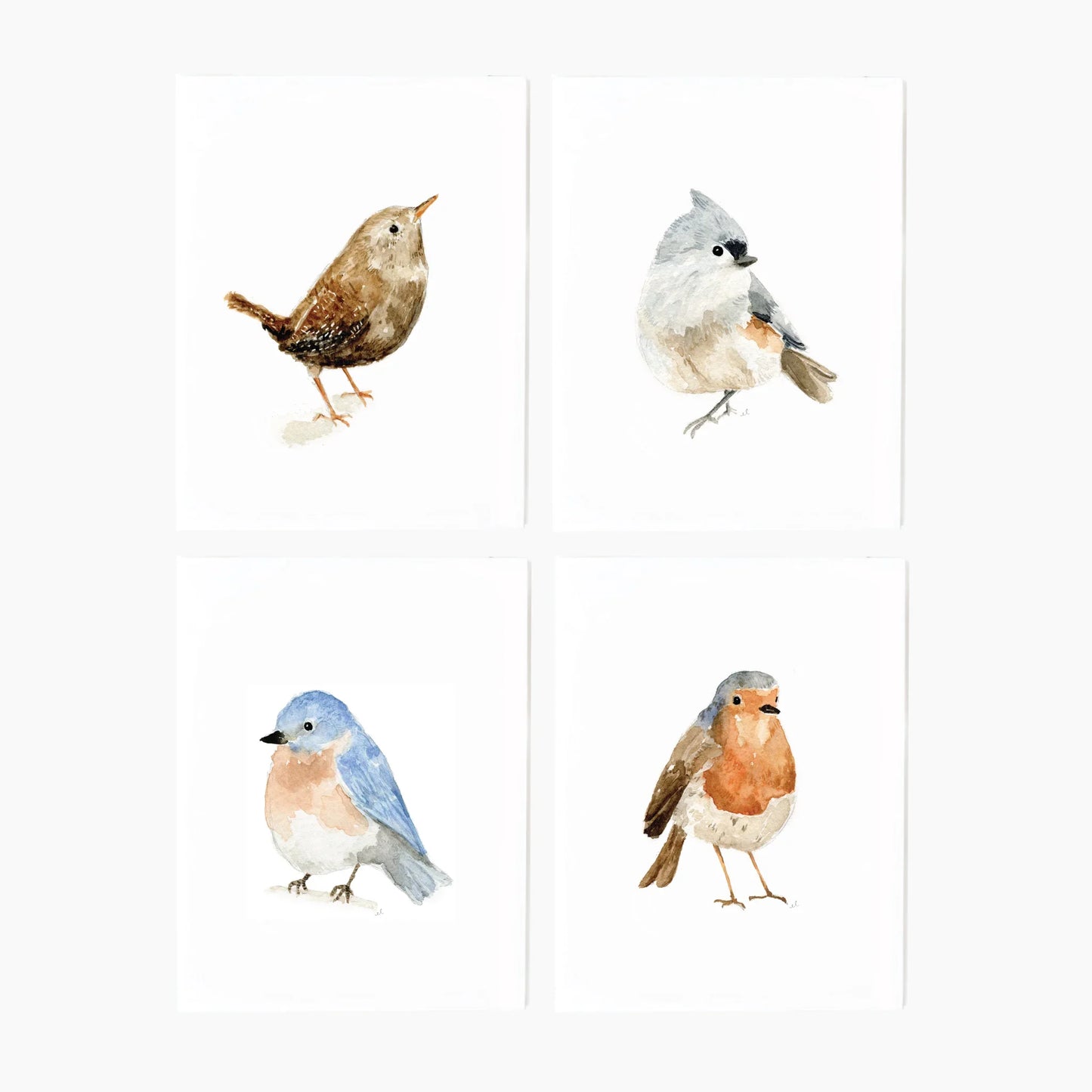 birds assorted notecard set