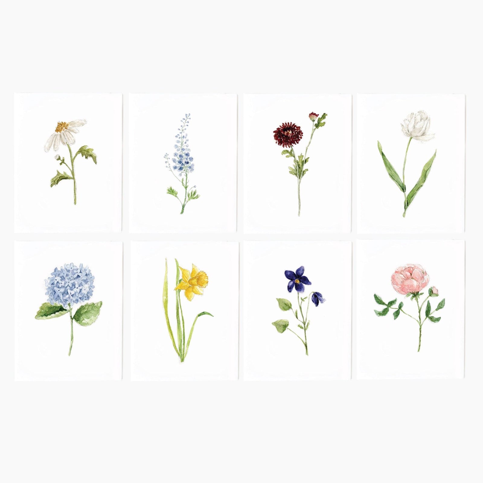 assorted garden flowers notecard set