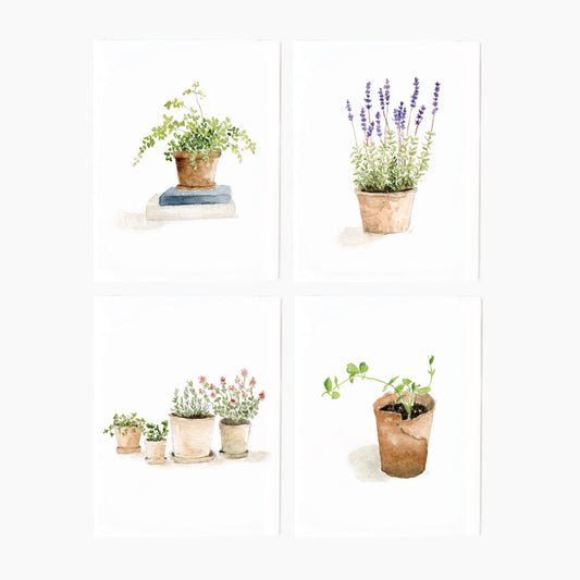 potted plants notecard set