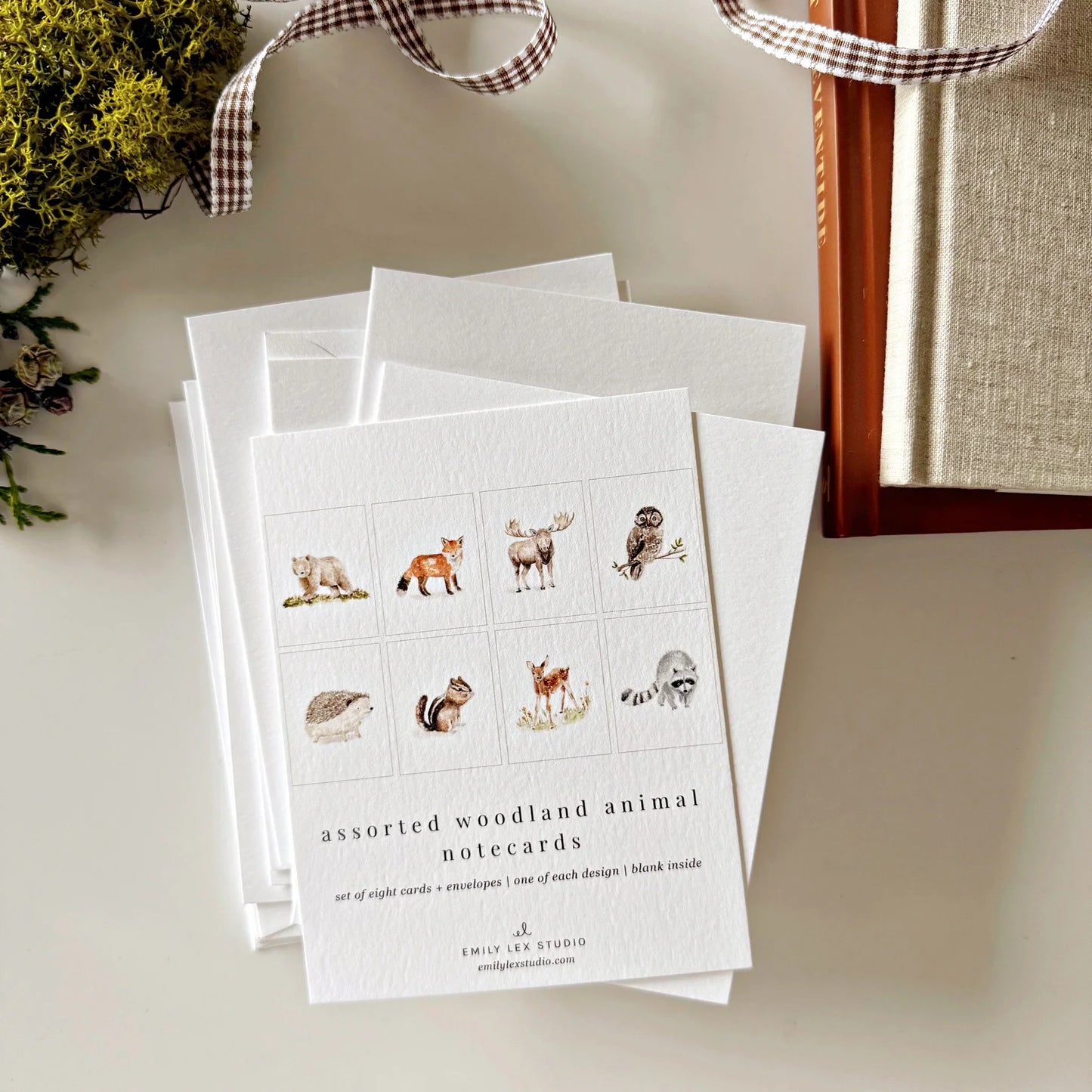woodland animals assorted notecard set