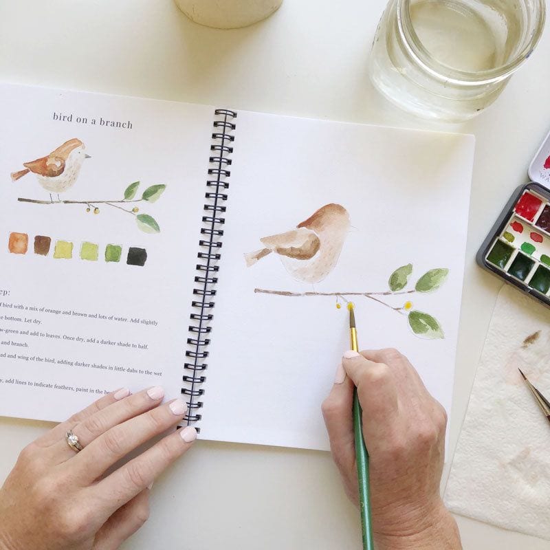 Emily Lex Watercolor Products and Classes + Giveaway – Cats in the Cradle  Blog