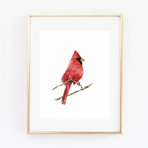 Cardinal bird watercolor wall art print of a red cardinal perched on a branch, shown in a gold frame