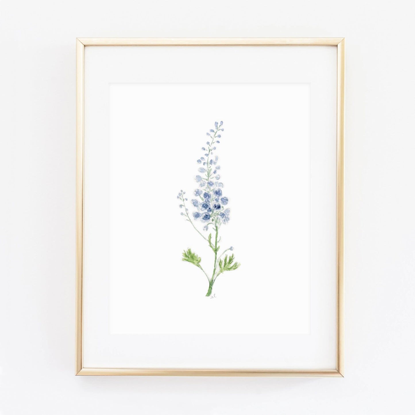 delphinium art print - emily lex studio