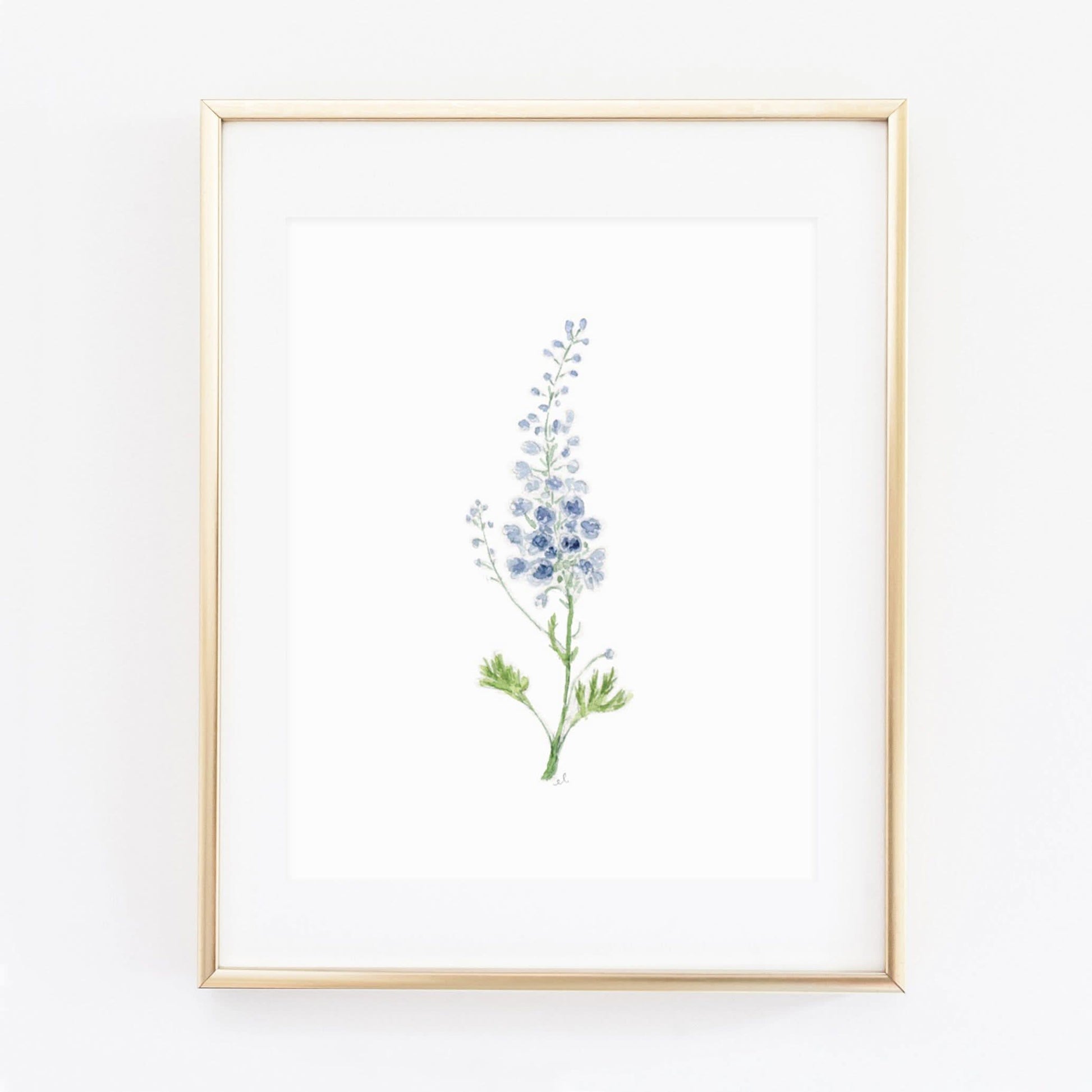 delphinium art print - emily lex studio