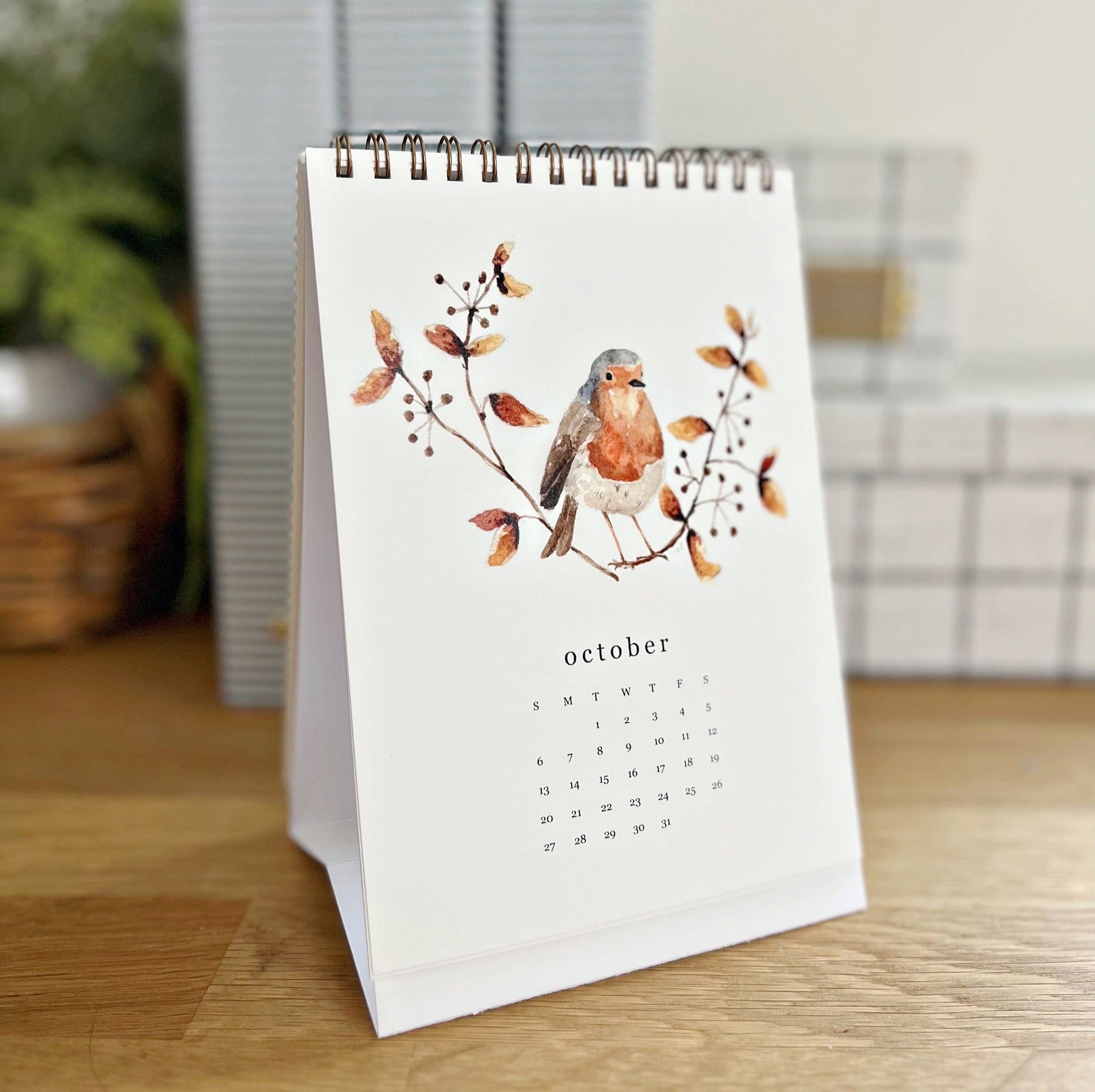 2024 birds & branches desk calendar - emily lex studio