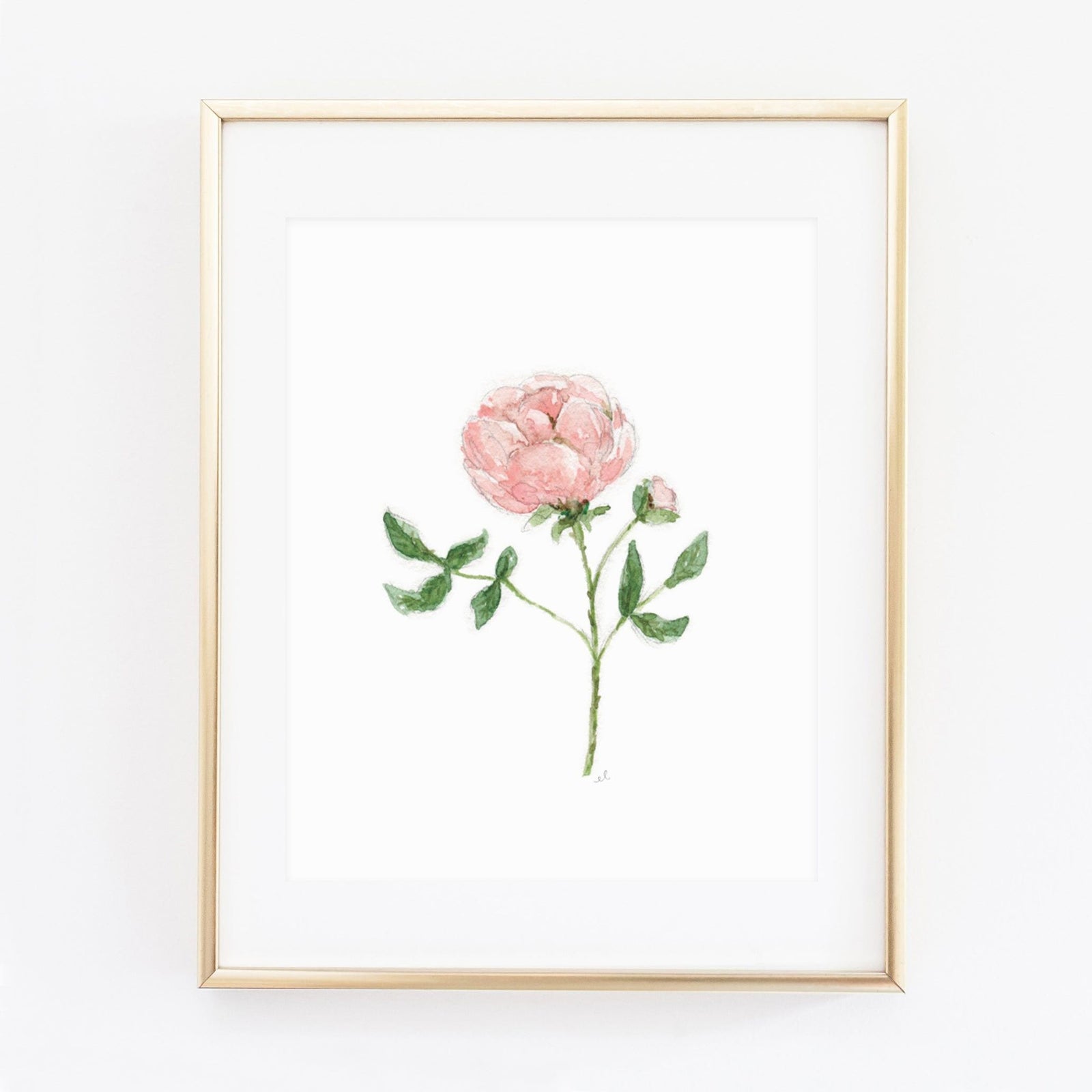 garden rose art print