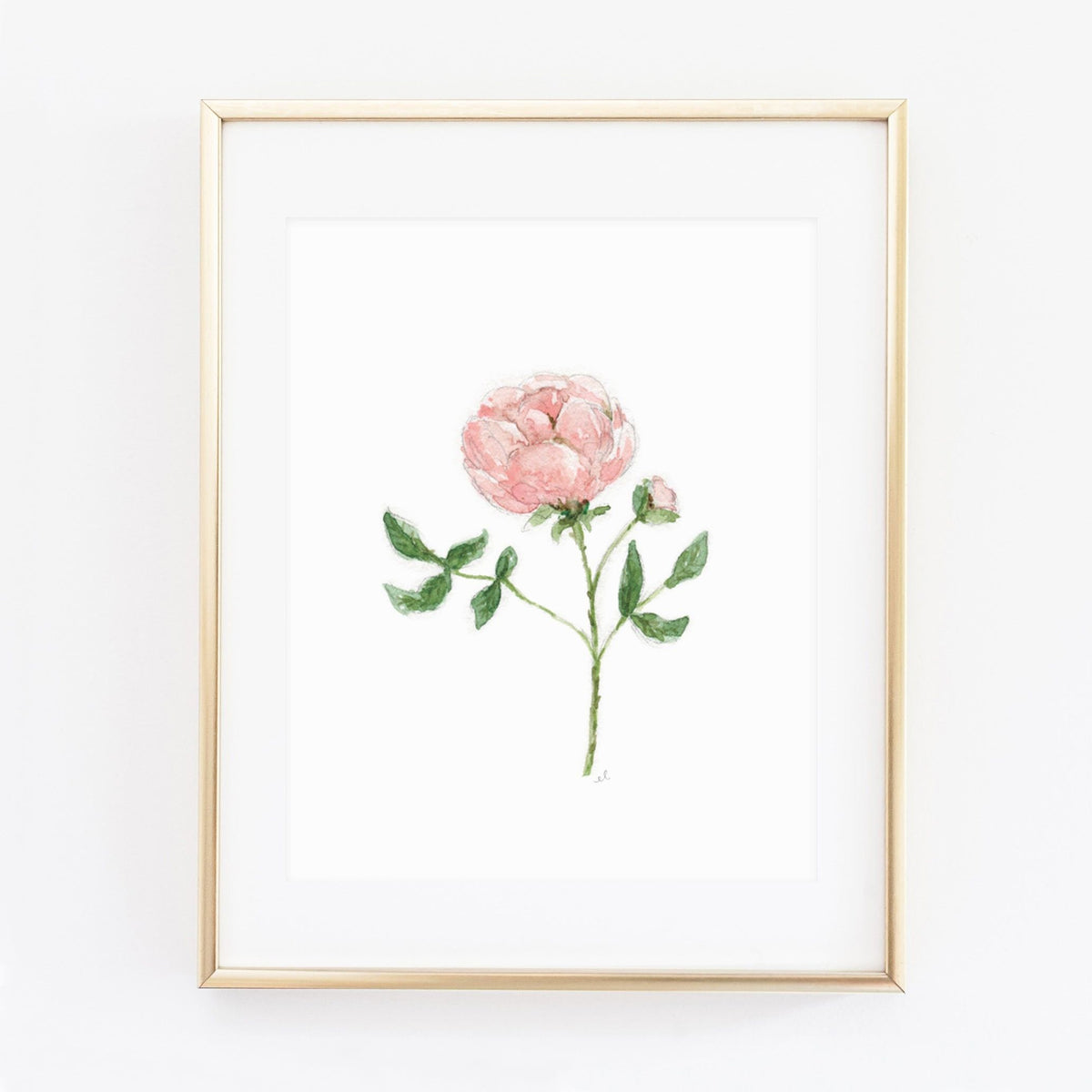 garden rose art print - emily lex studio