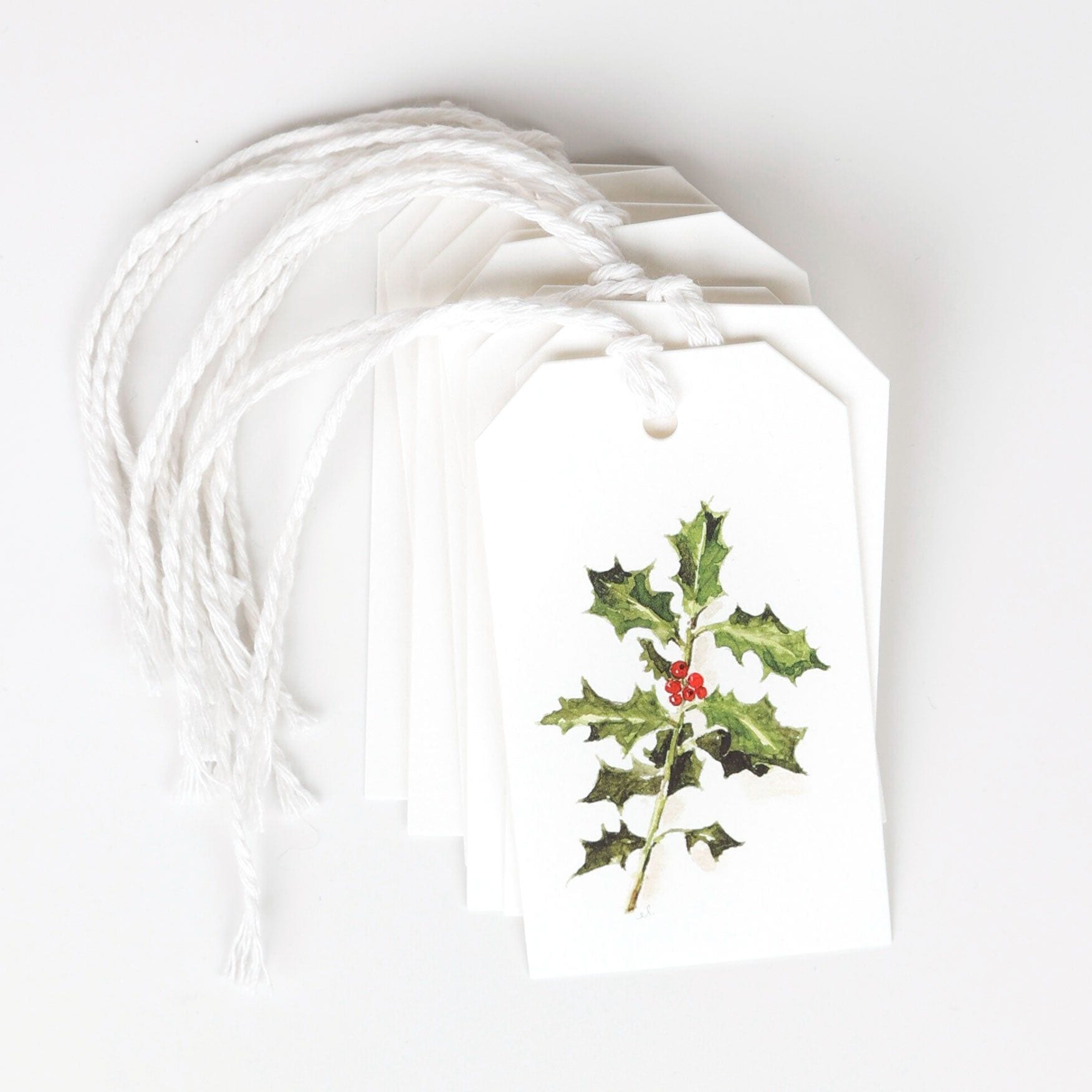 Set of 10 Botanical Holiday Gift Tags – Little Truths Studio
