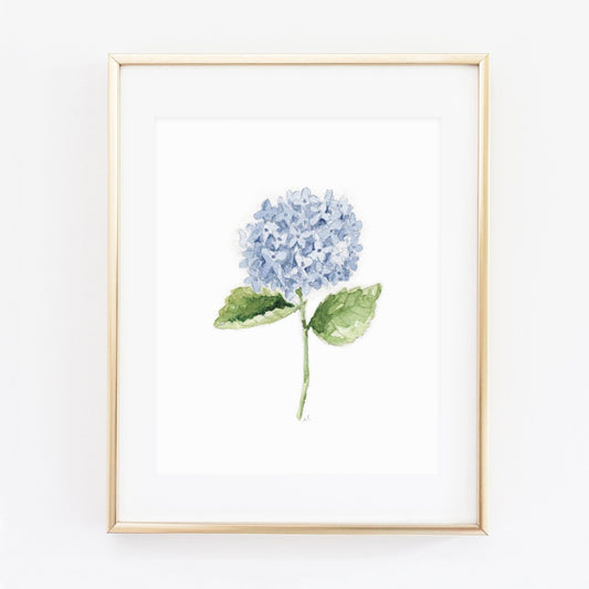 hydrangea stem art print - emily lex studio