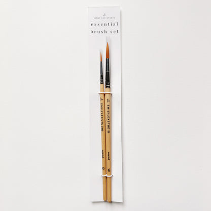 the essential paintbrush set