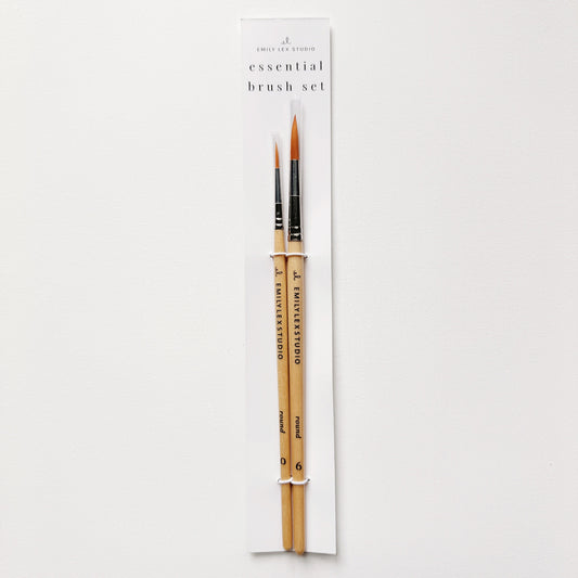 the essential paintbrush set