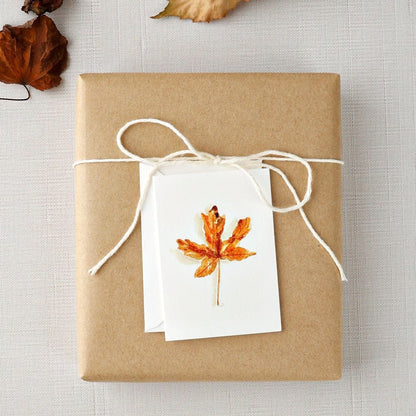 maple leaf mini notecard - emily lex studio