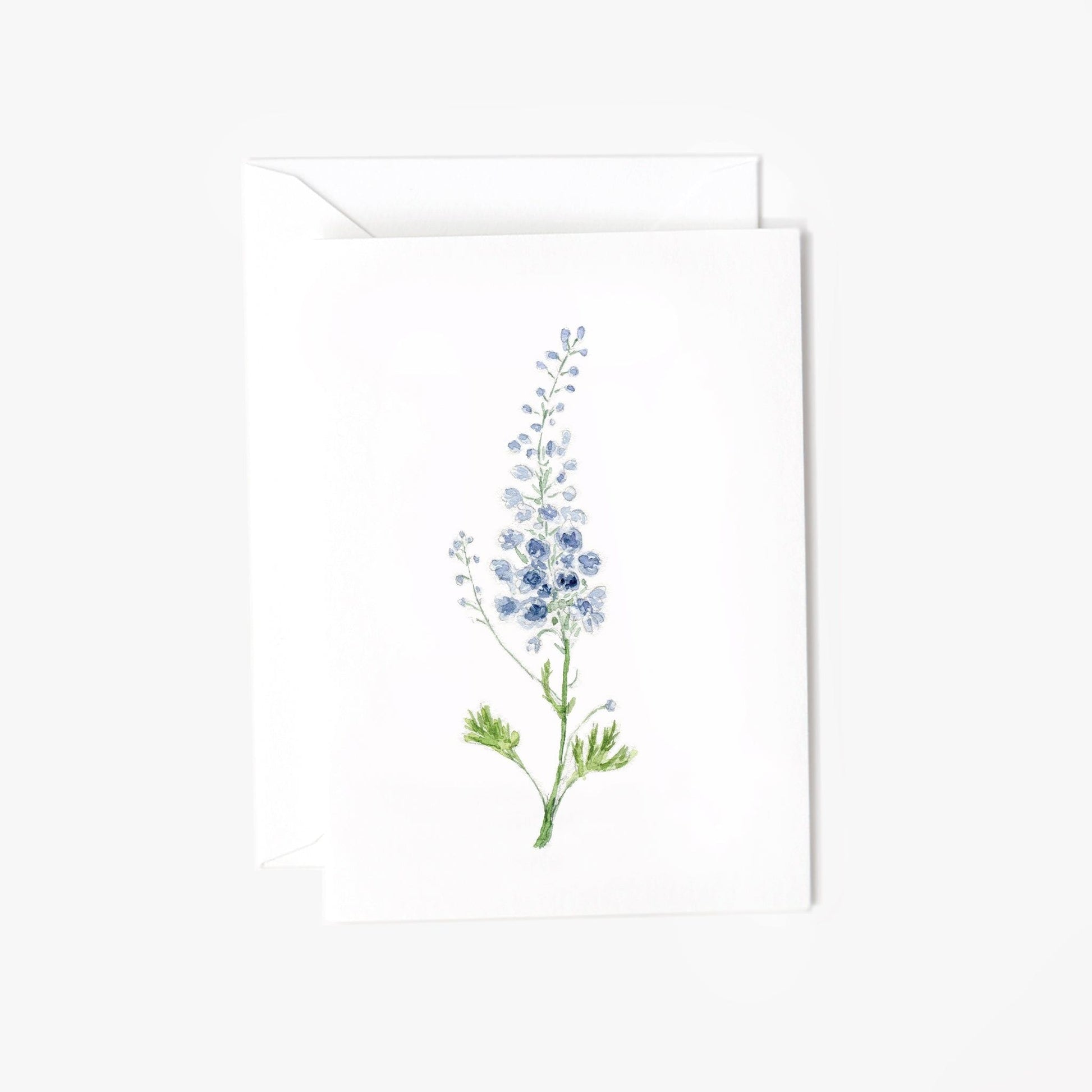 delphinium mini notecard - emily lex studio