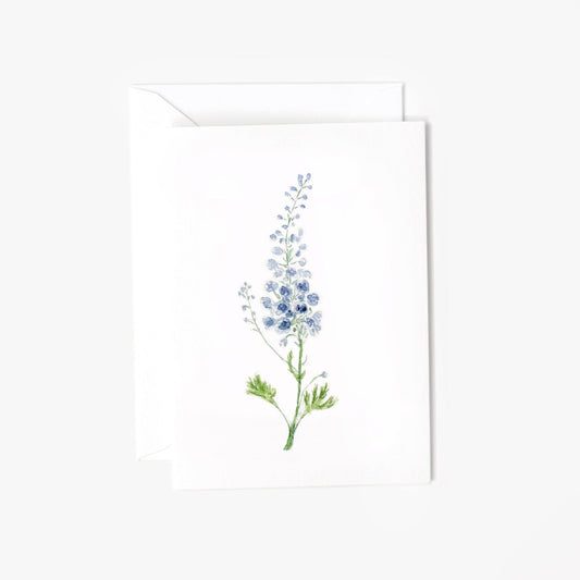 delphinium mini notecard - emily lex studio