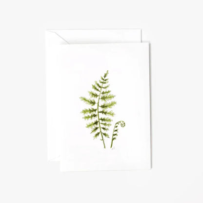 fern mini enclosure notecard