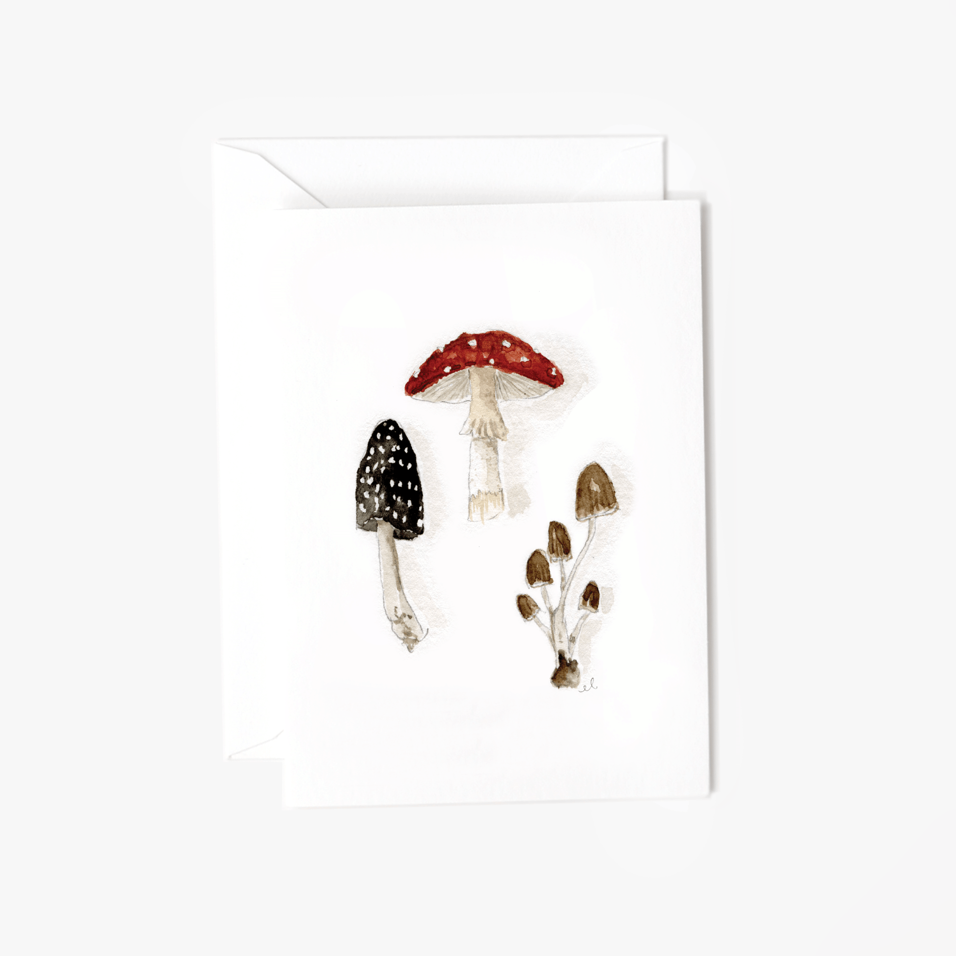 mushrooms mini notecard - emily lex studio - mini notecard