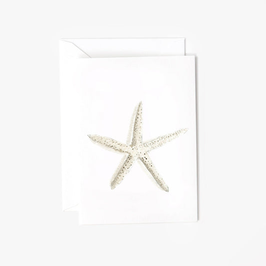 starfish mini notecard - emily lex studio