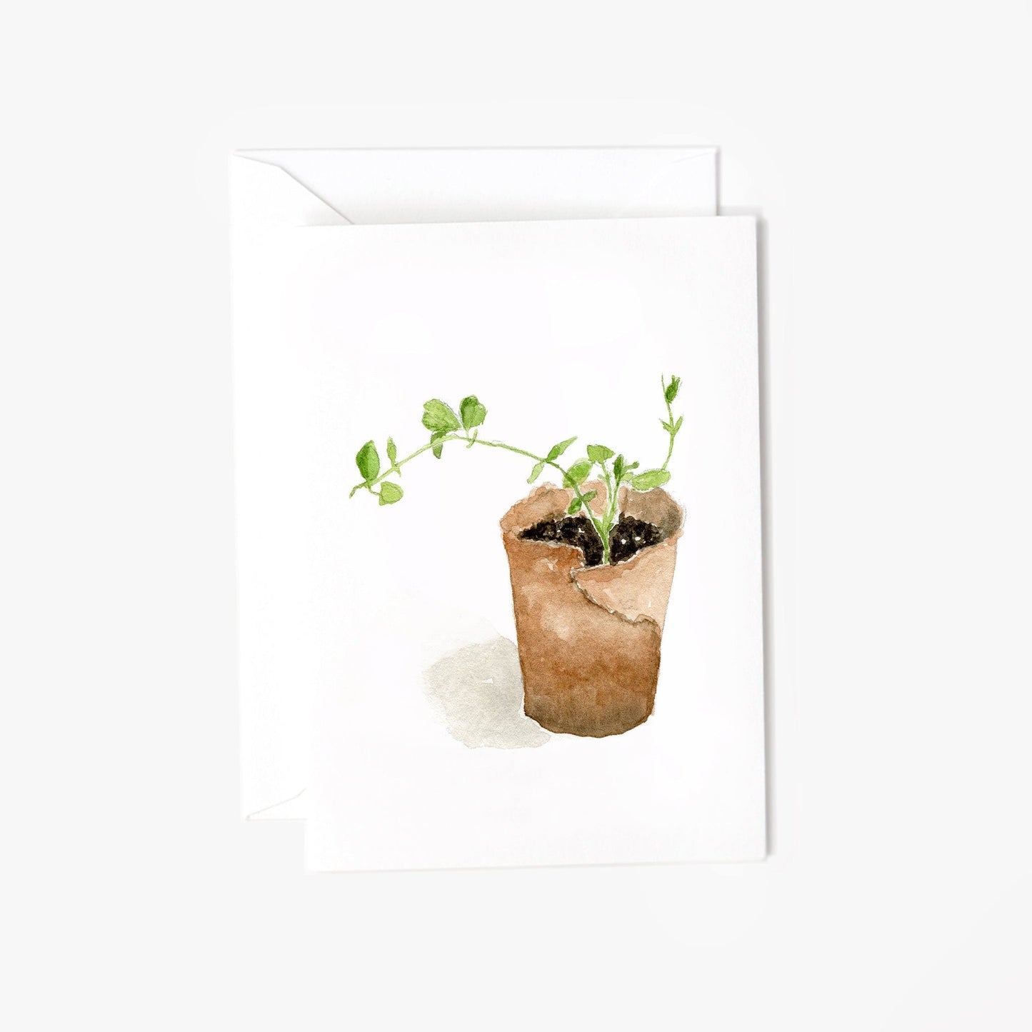 sweet pea mini notecards - emily lex studio