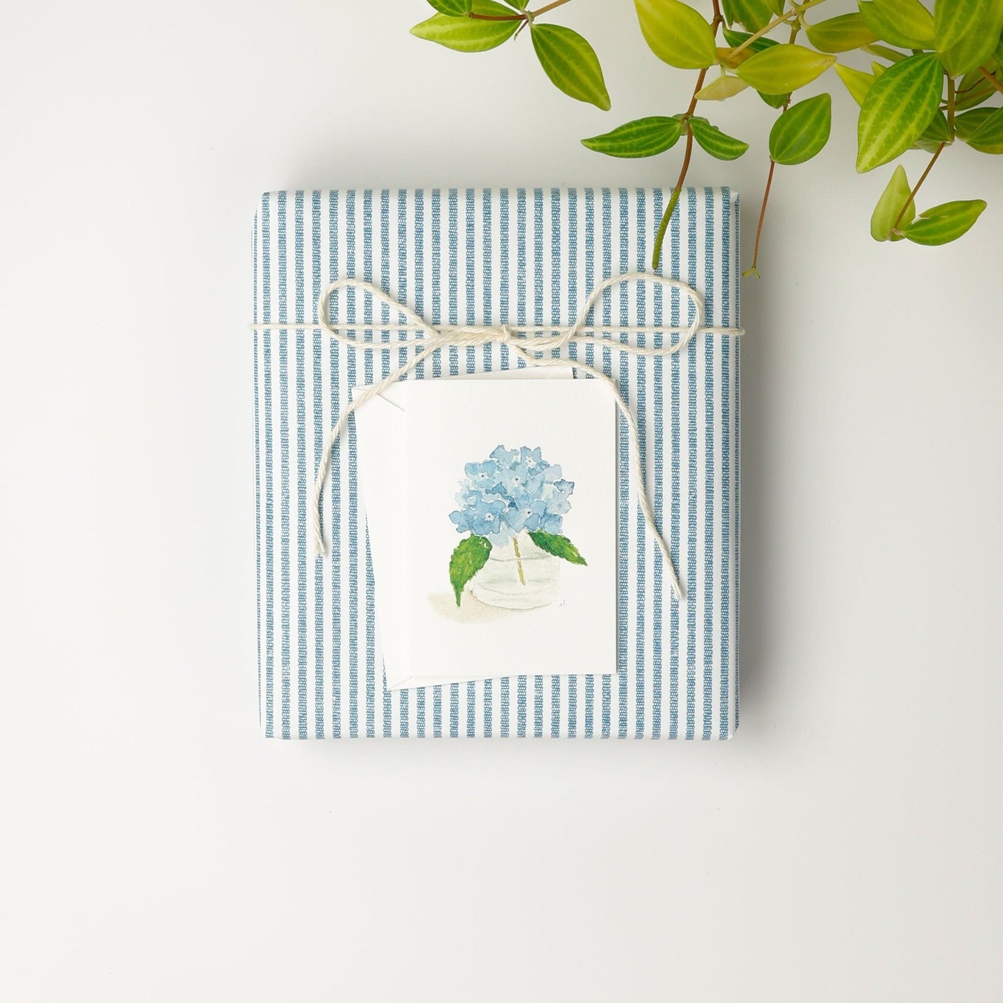 hydrangea mini notecard - emily lex studio