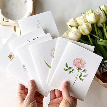 assorted garden flowers notecard set - emily lex studio