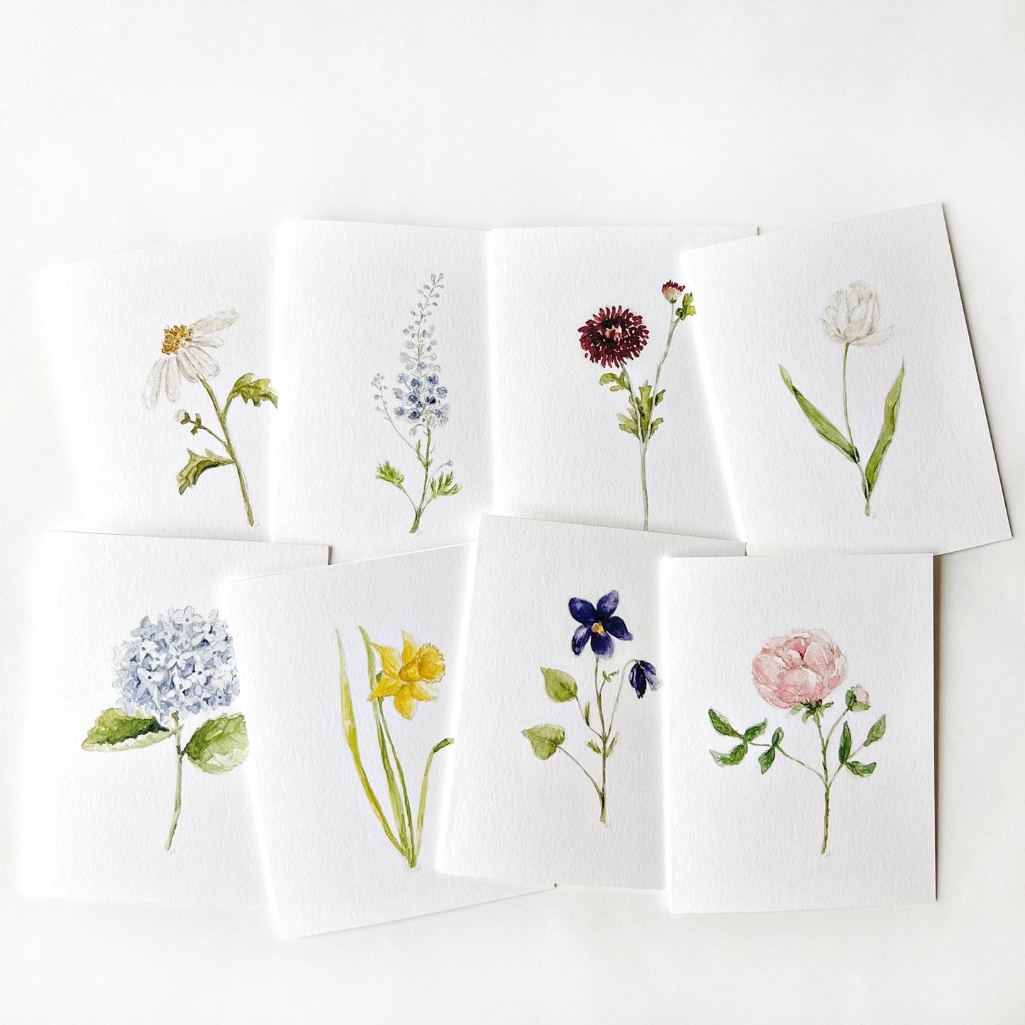 assorted garden flowers notecard set - emily lex studio