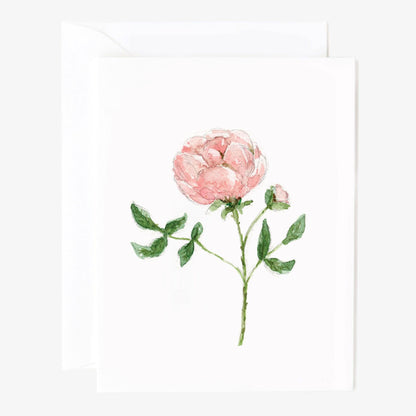 garden rose notecards - emily lex studio