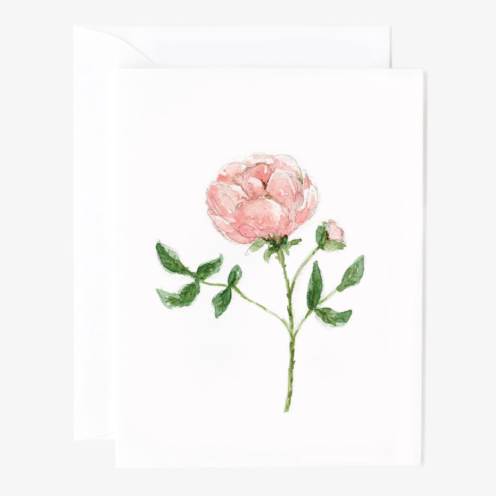 garden rose notecards