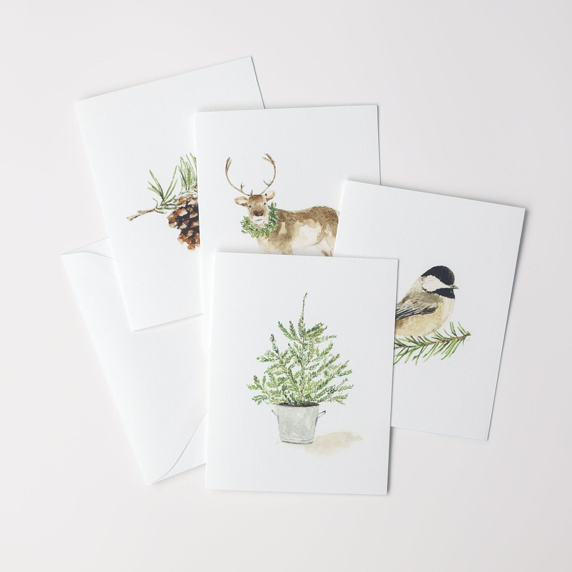 evergreen christmas notecard set - emily lex studio