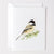 evergreen christmas notecard set - emily lex studio