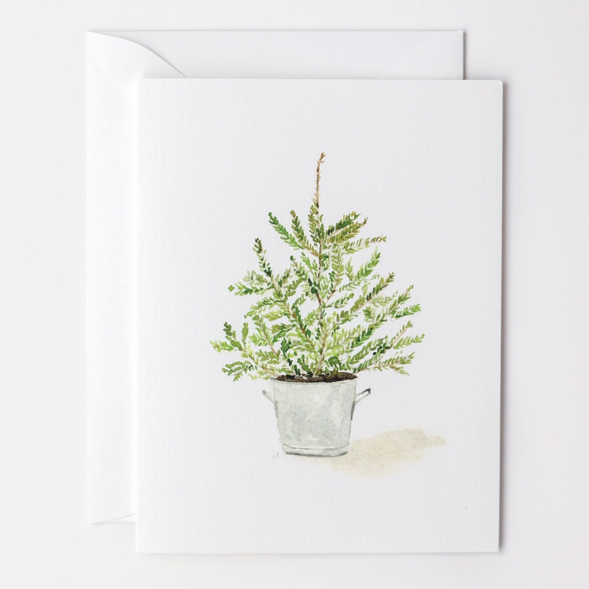 evergreen christmas notecard set - emily lex studio