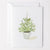 evergreen christmas notecard set - emily lex studio