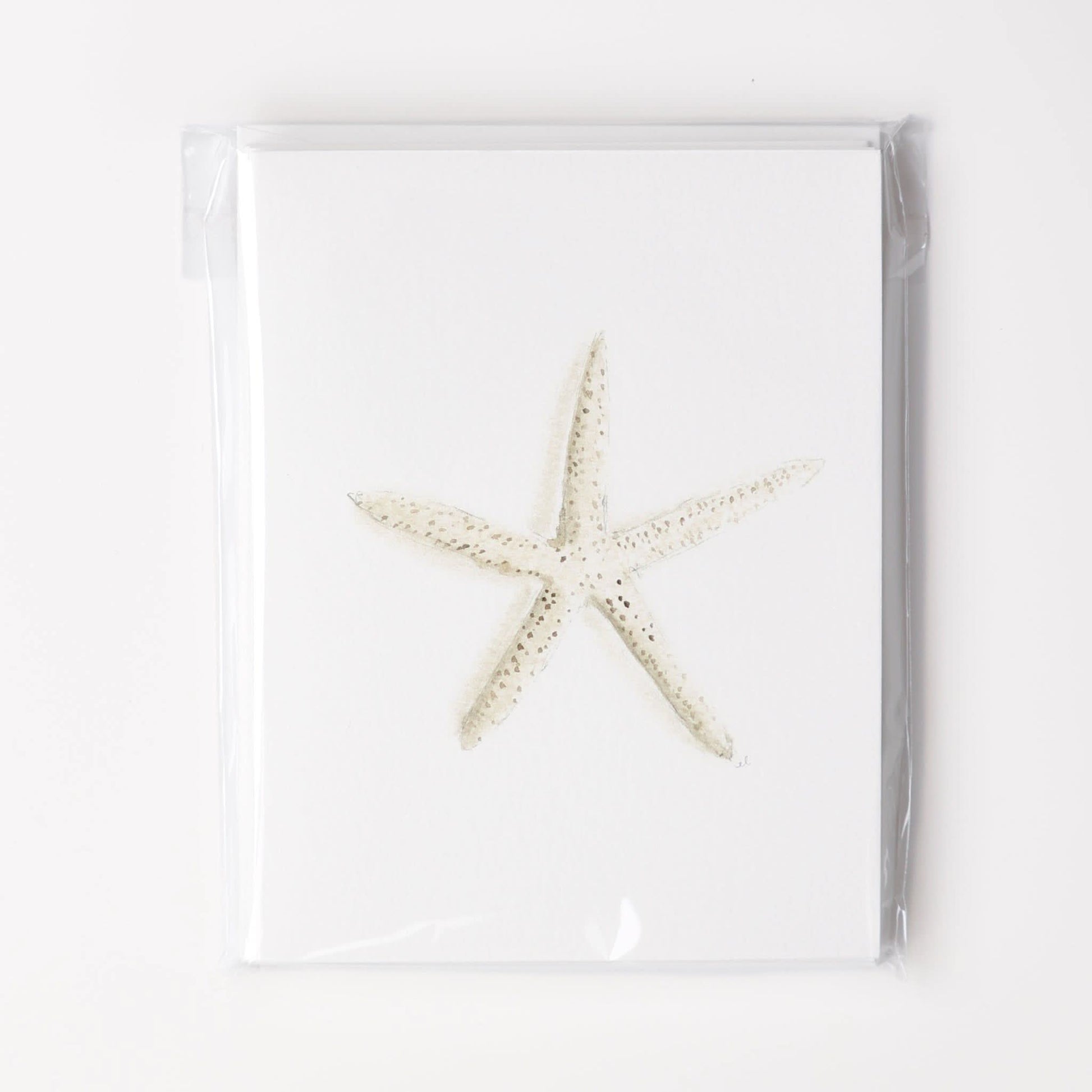 seaside notecard set - emily lex studio