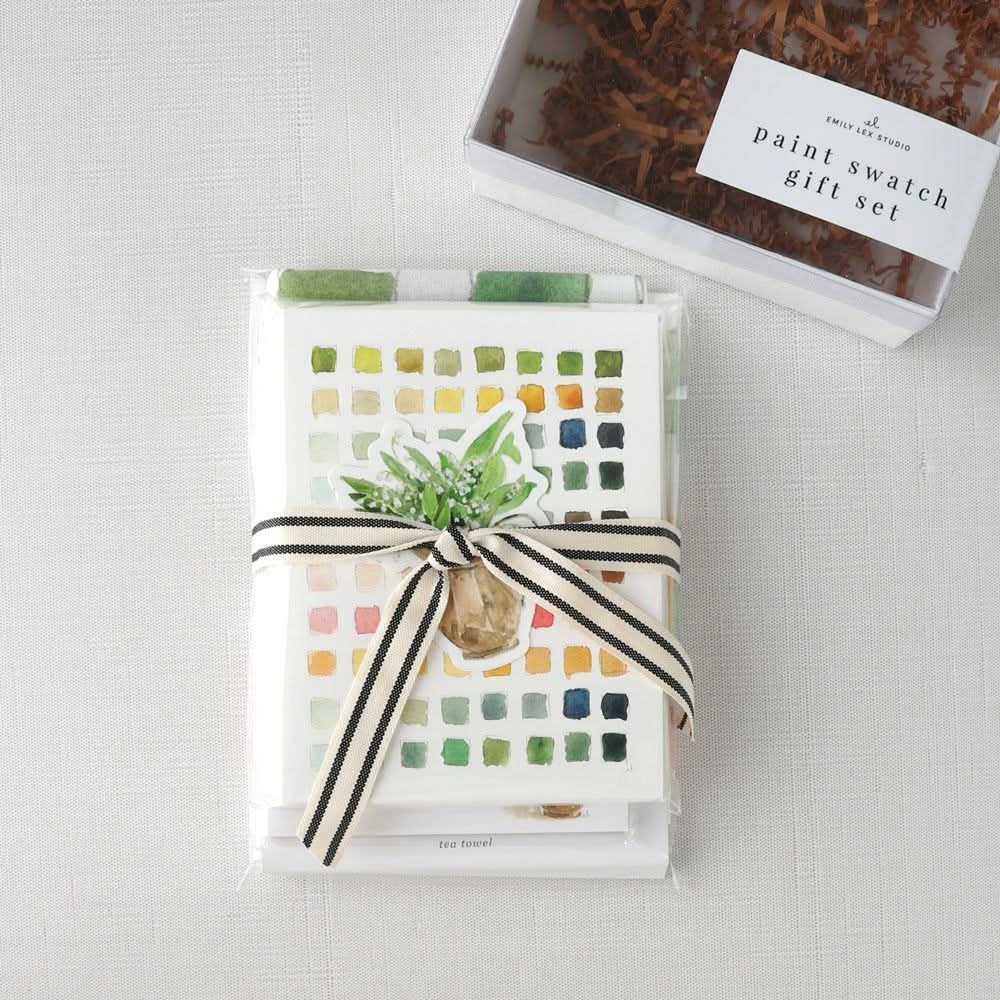 paint swatch gift set emily lex studio