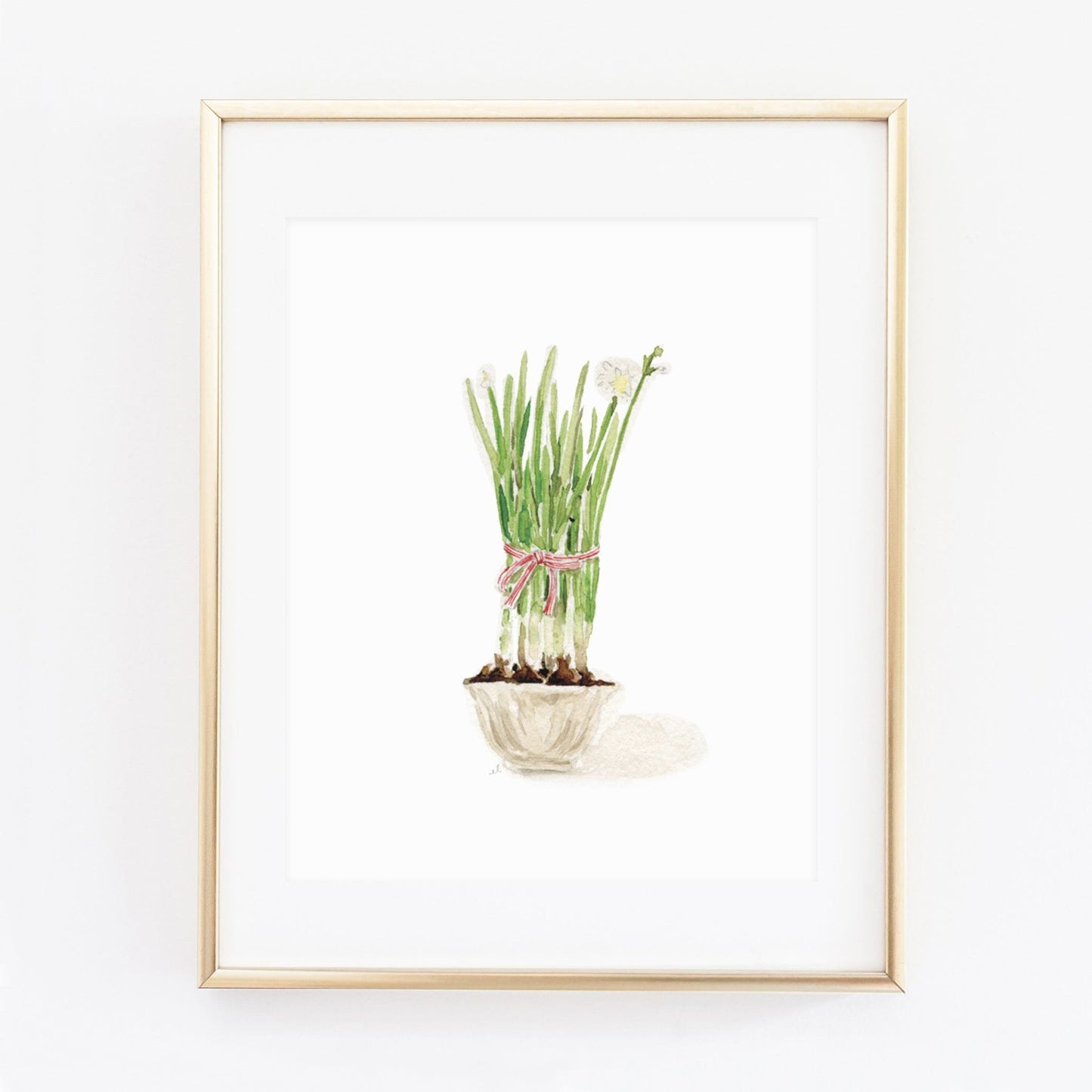 paperwhites art print - emily lex studio