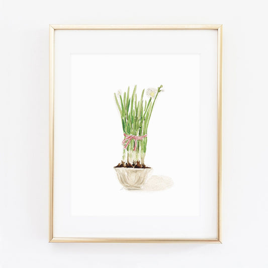 paperwhites art print - emily lex studio