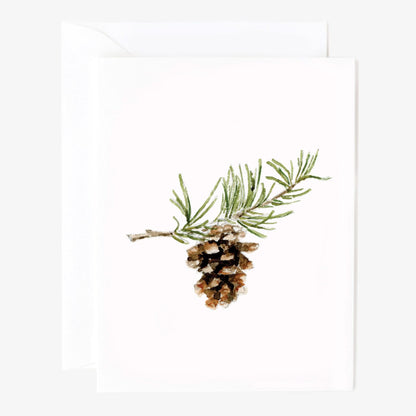 evergreen christmas notecard set