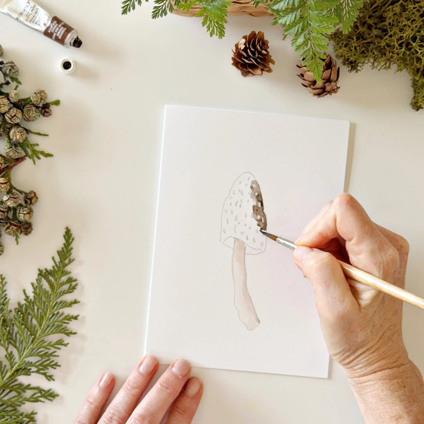 mushrooms paintable watercolor notecards